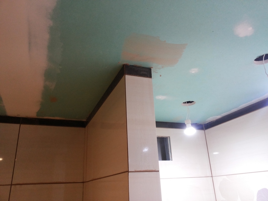 Arreglar y limpiar el techo del baño