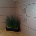 Remodelacion Oficinas UNESCO