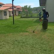 Jardinería en general