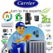 Carrier