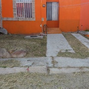 Poda y limpieza de jardin