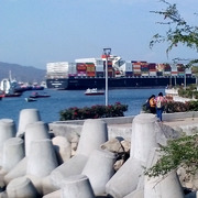 Manzanillo Colima aliados comerciales