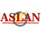 aslannew