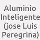 Logo Aluminio Inteligente (jose Luis Peregrina)_8885
