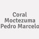 Logo Coral Moctezuma Pedro Marcelo_11714