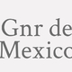 Logo Gnr de Mexico_11147
