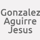 Logo Gonzalez Aguirre Jesus_18192
