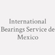 Logo International Bearings Service de Mexico_14011