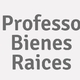 Logo Professo Bienes Raices_1659