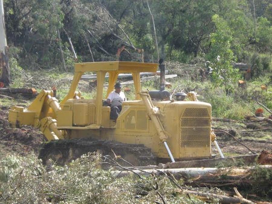 Demoliciones y despalmes con maquinaria pesada