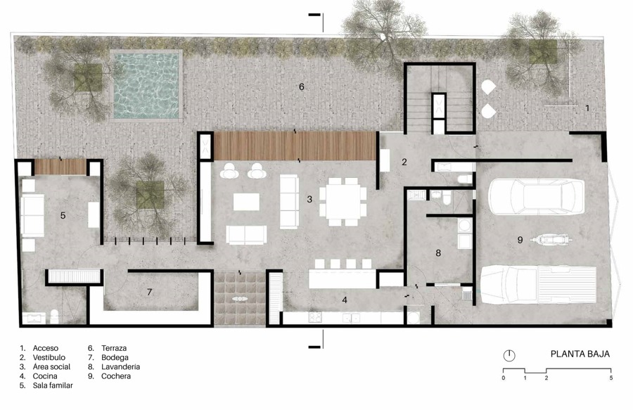 Plantas arquitectónicas