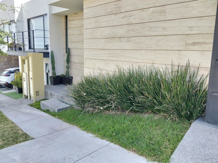 Mejora de espacio verde en fachada residencial (antes)