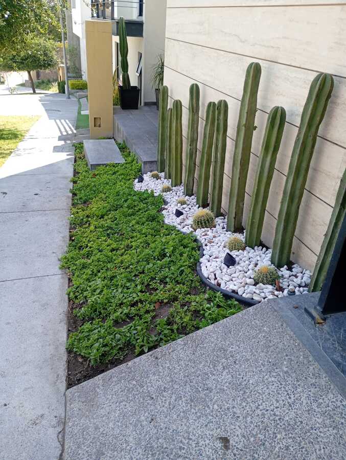 Mejora de espacio verde en fachada residencial (después)