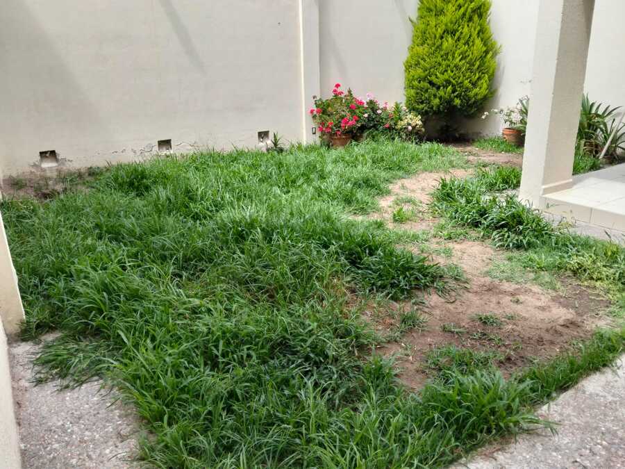 Área verde en casa residencial (antes)