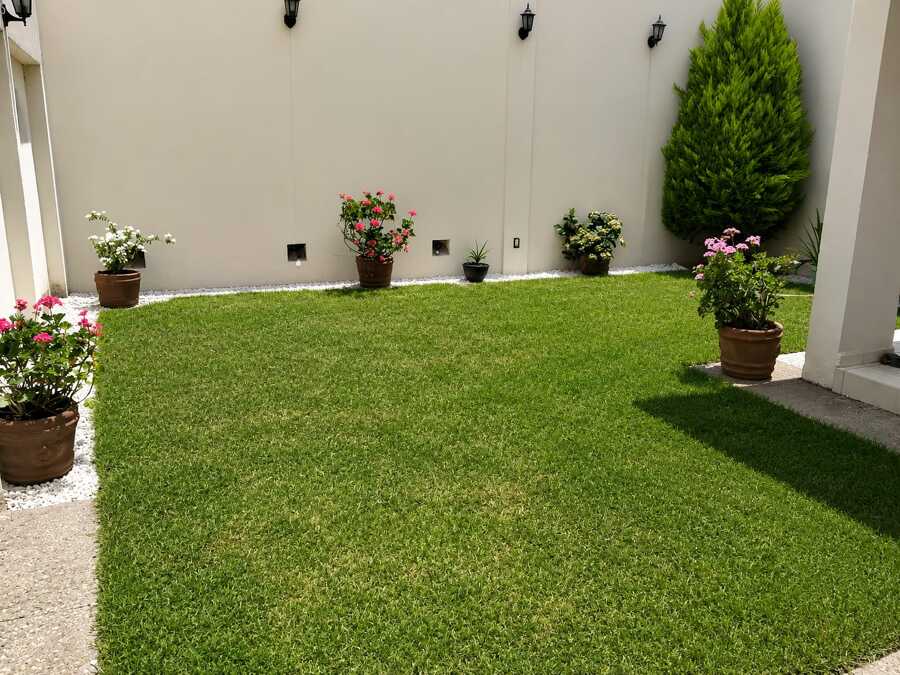 Área verde en casa residencial (después)
