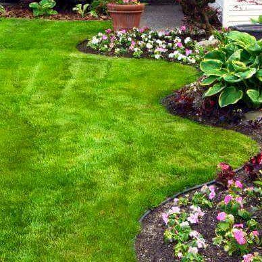 Diseño de jardines con mulch y pasto