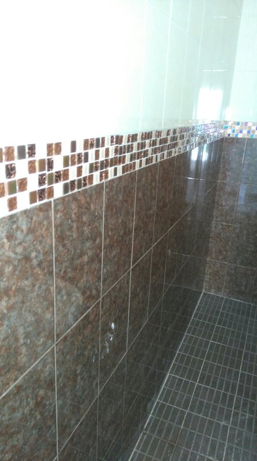 LOSETA Y CENEFA EN BAÑO