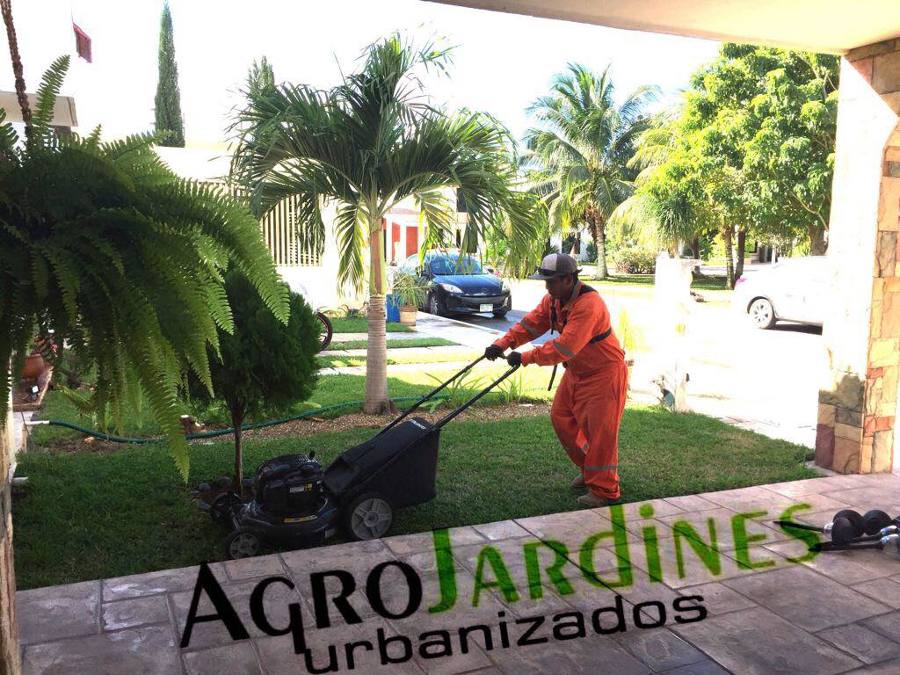 Mantenimiento de jardines