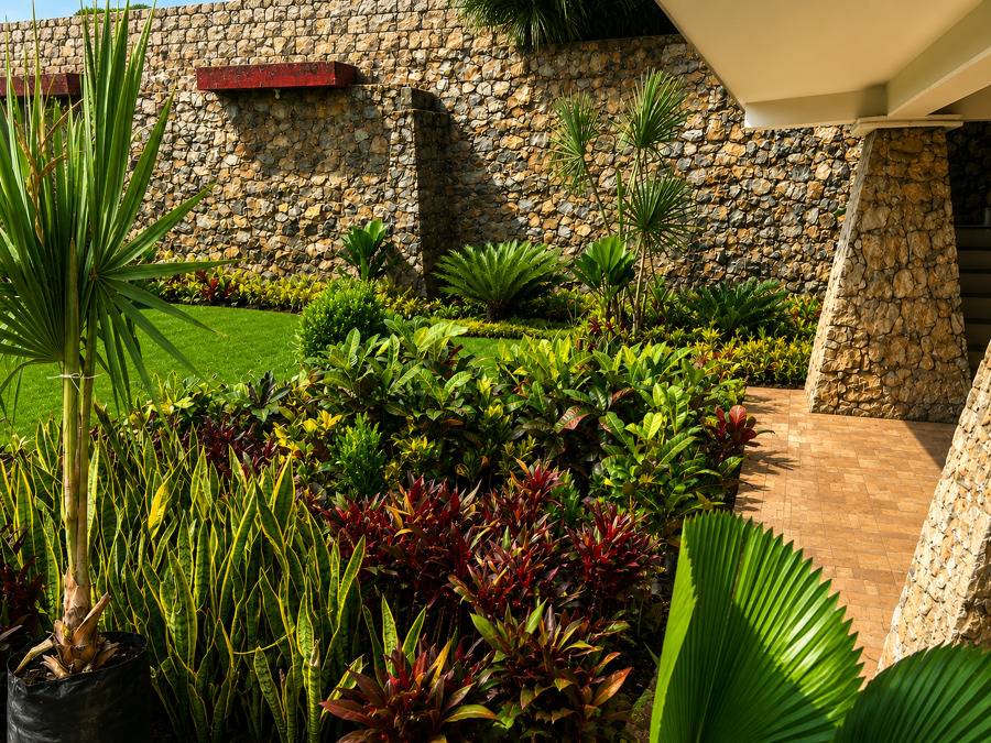 Diseño y paisajismo tropical para área residencial de lujo