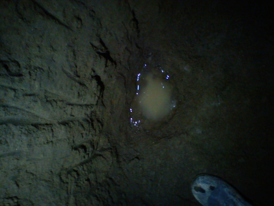 Nace el agua