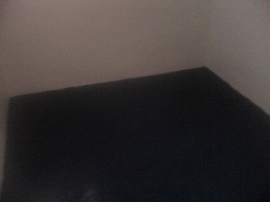Pintura