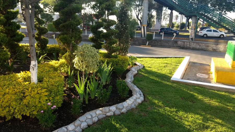 Foto: Colocación de Piedra de Alfombras Verdes #258961 - Habitissimo