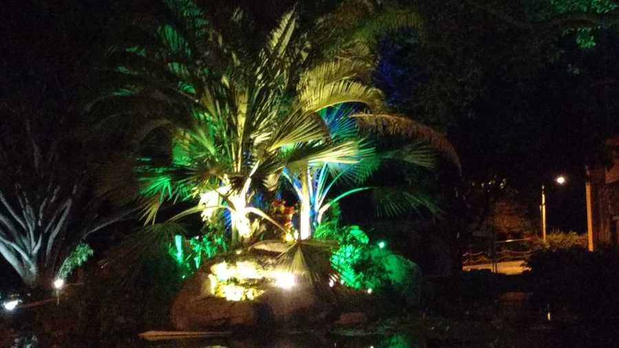 Instalación de Luminarias Led RGB en Jardín
