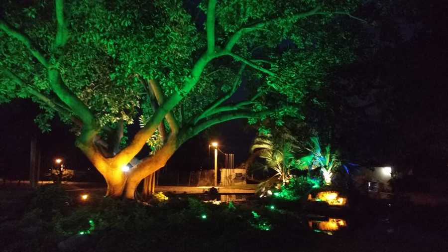 Instalación de Luminarias Led RGB en Jardín