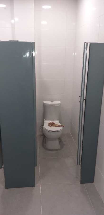 Colocación de muebles Sanitarios