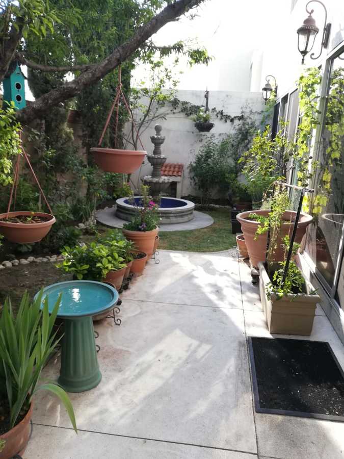 Jardin comestible