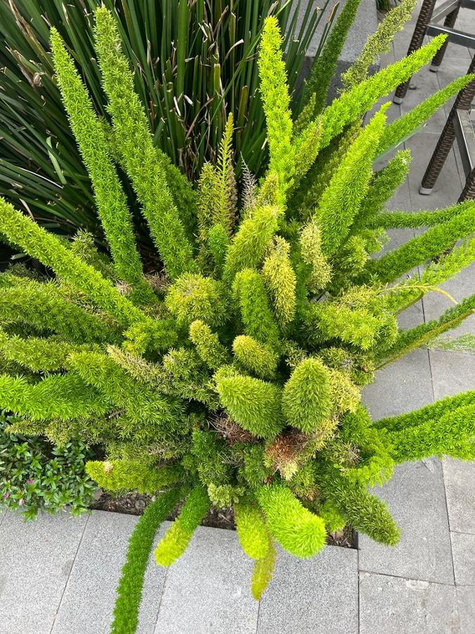 Foto Plantación de Vegetación de Argos Landscaping 961983 Habitissimo