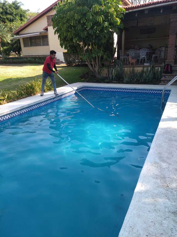 Foto Mantenimiento de Albercas de Argos Landscaping 961981 Habitissimo