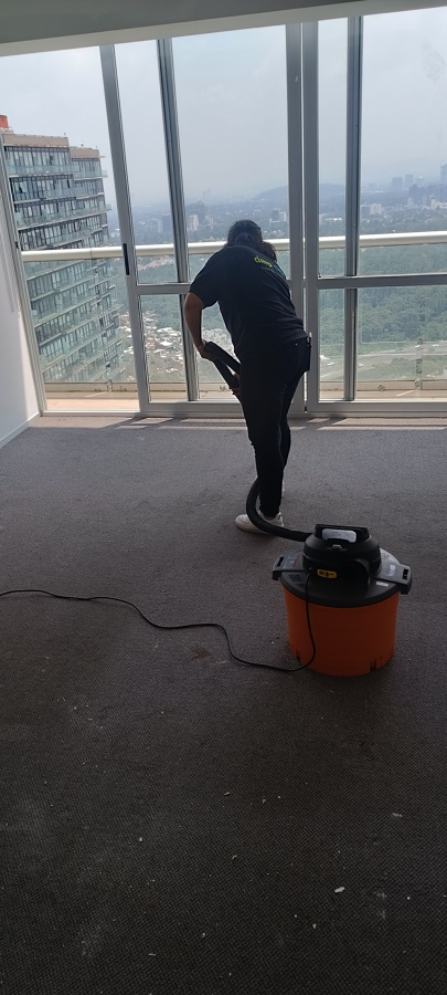 Limpieza de alfombra