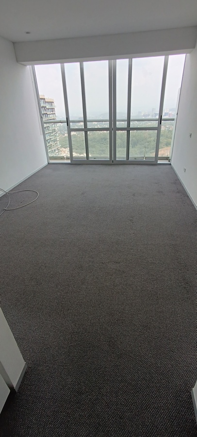 Alfombra limpia y seca en 50 minutos