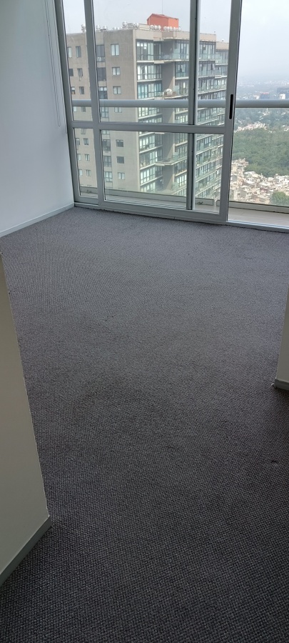 Alfombra limpia y seca en 50 minutos