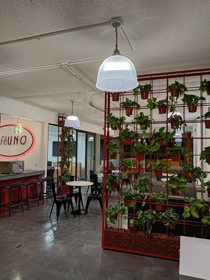 Área de Cafetería / Coworking y Zona de Break.