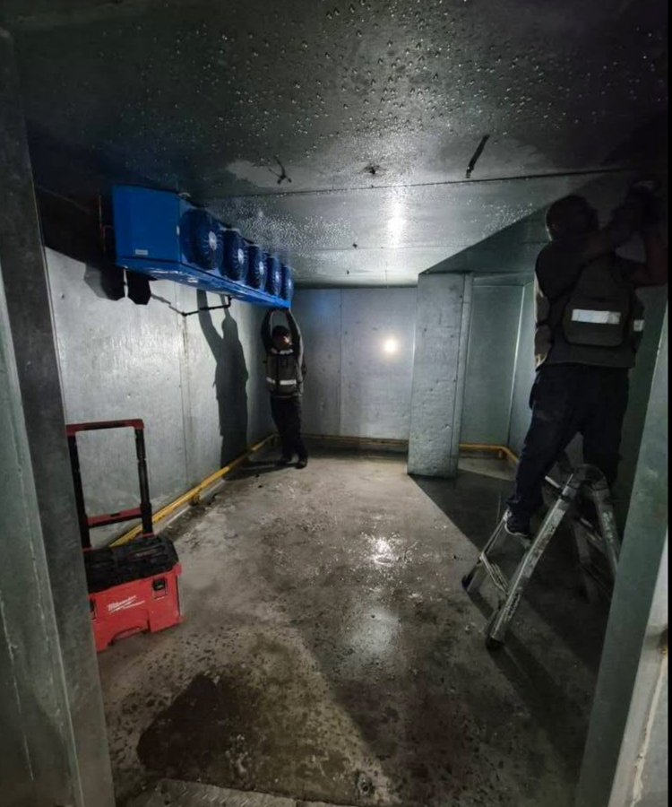 Desarmado de cuarto para calimax