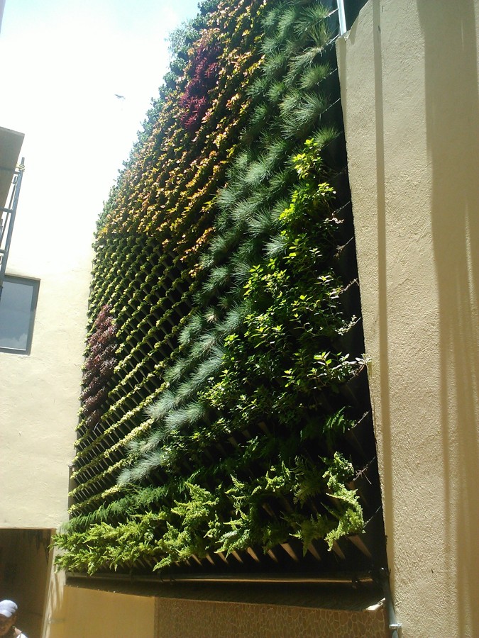 MURO VERDE CASA HABITACION NARVARTE