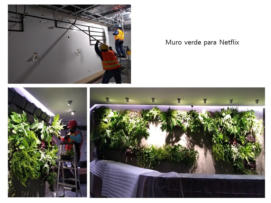 Muro verde con macetas flotadas.