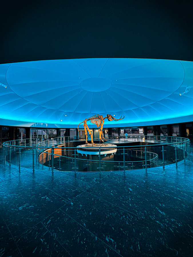 Museo de Historia Natural