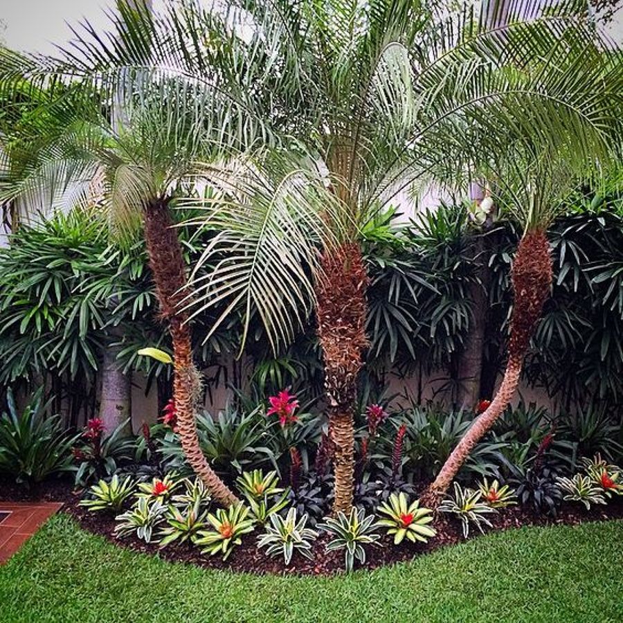 Jardinería y decoración