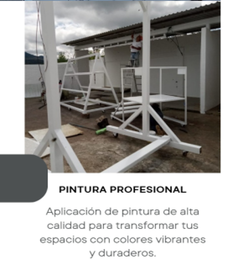 PINTURA PROFESIONAL