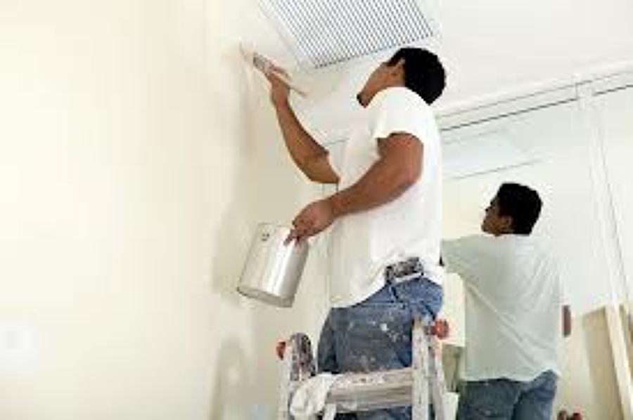 pintura de techos y plafones