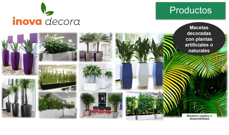 Plantas artificiales y naturales para decoración