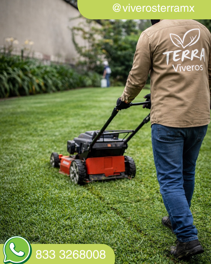 Mantenimiento de Jardines