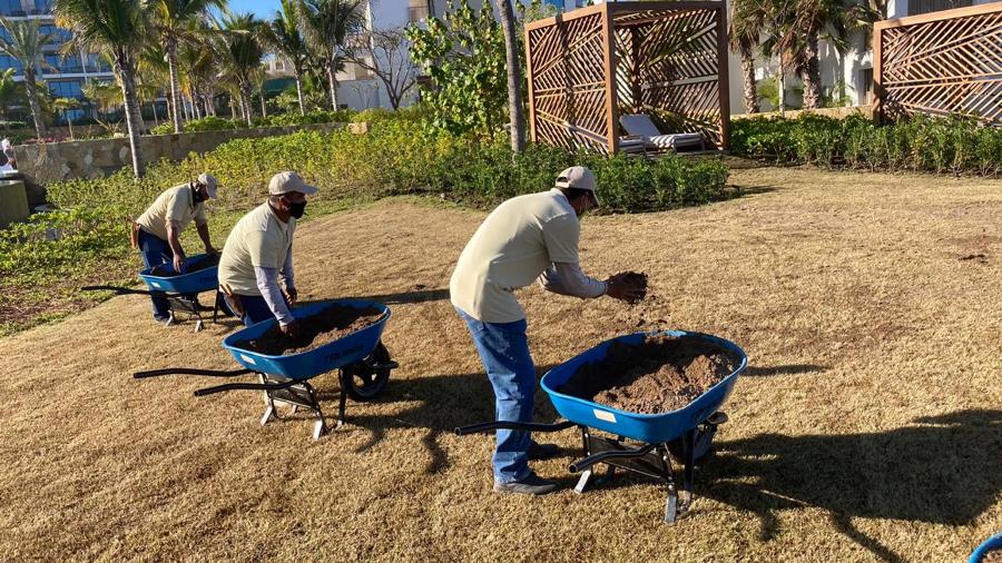 servicios de jardinería y mantenimiento de áreas verdes