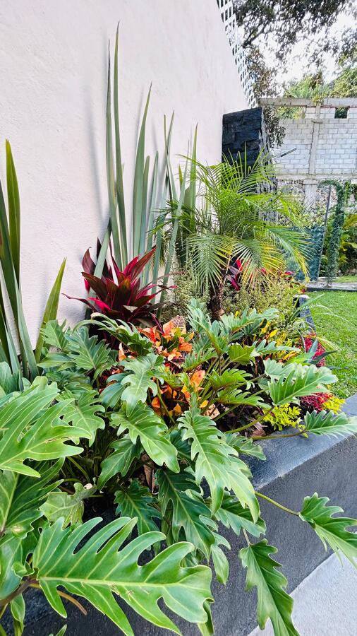 Jardineras