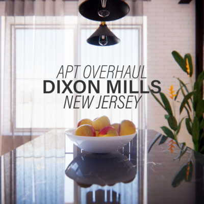 DIXON MILLS apt overhaul