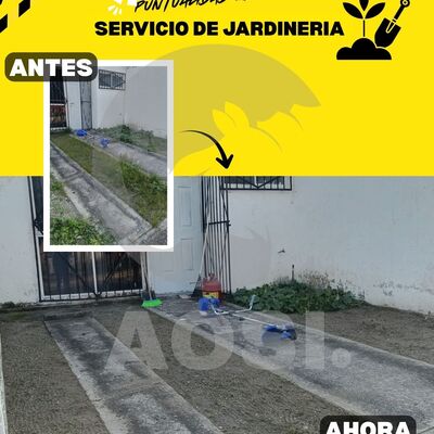 SERVICIO DE JARDINERIA