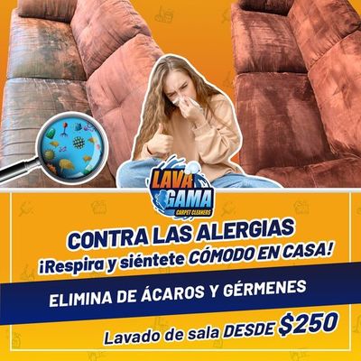 Lavado de Salas y sillones